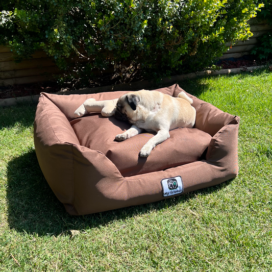 Cama de mascota café impermeable totalmente desmontable