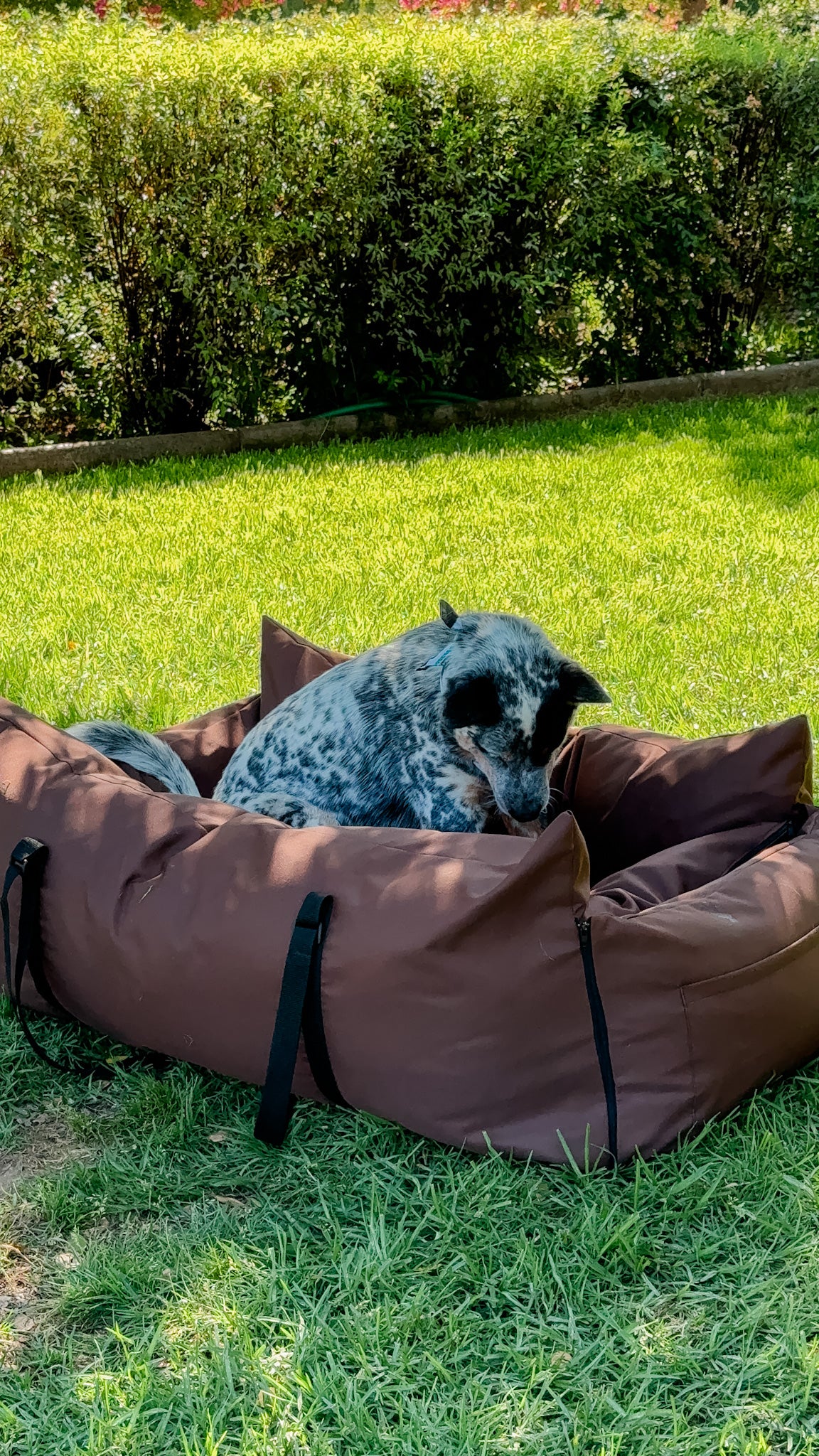 Bolso y cama de mascota para la maleta del vehículo color café impermeable