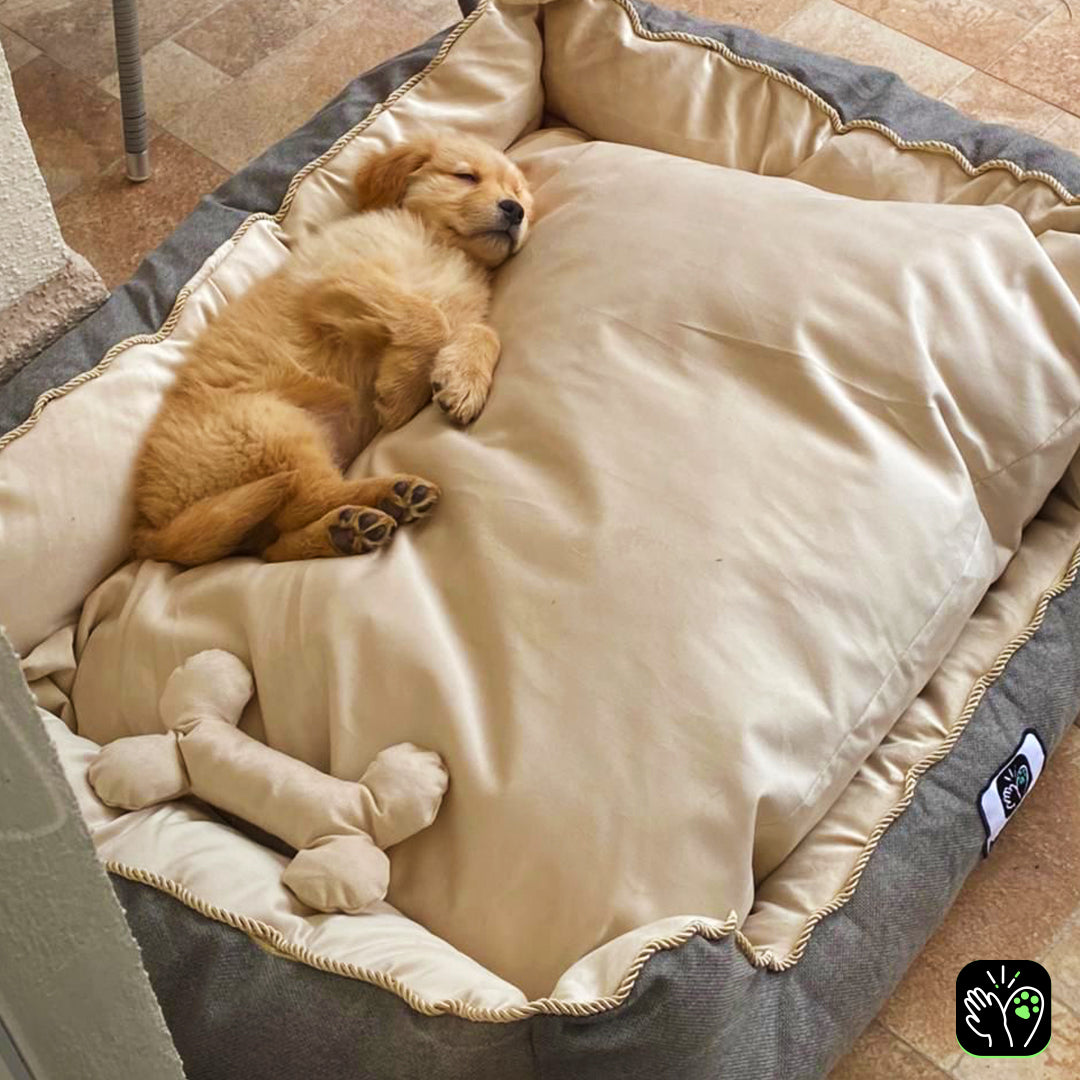 Cama Ortopédica Precios De Colchones Para Perros Colchón