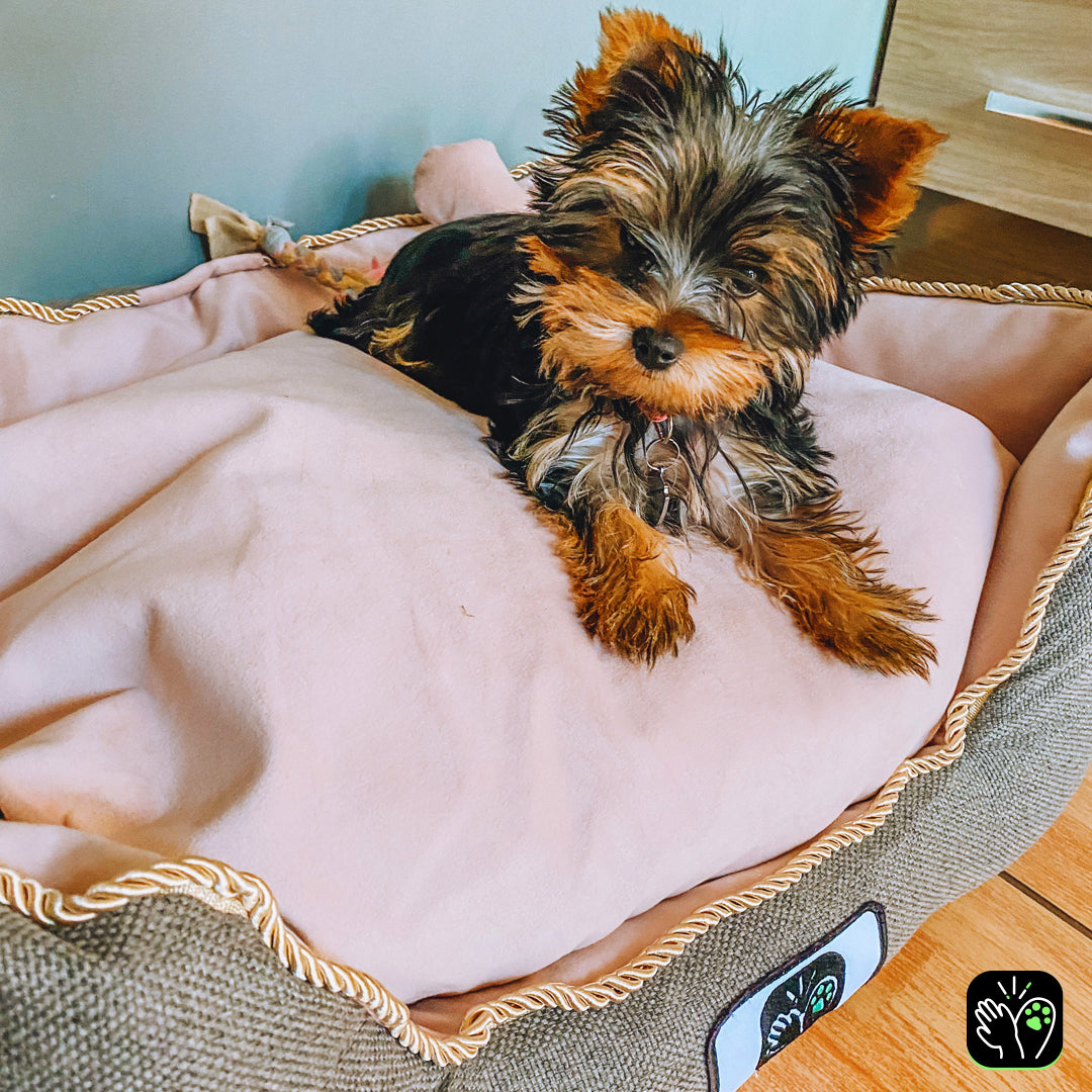Cama de mascota diseño "Gris/rosado"
