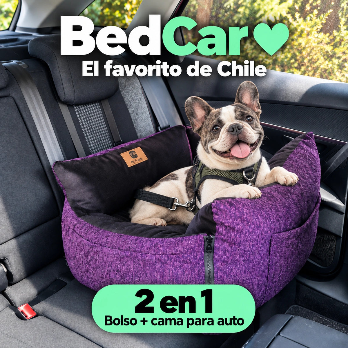 Bolso Transportador 2 en 1 para mascotas Modelo Morado/negro con cierres frontales