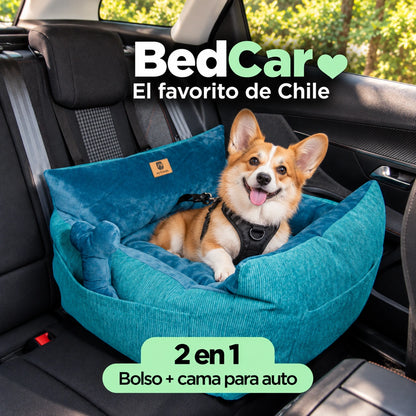 Bolso Transportador 2 en 1 para mascotas Modelo Turquesa