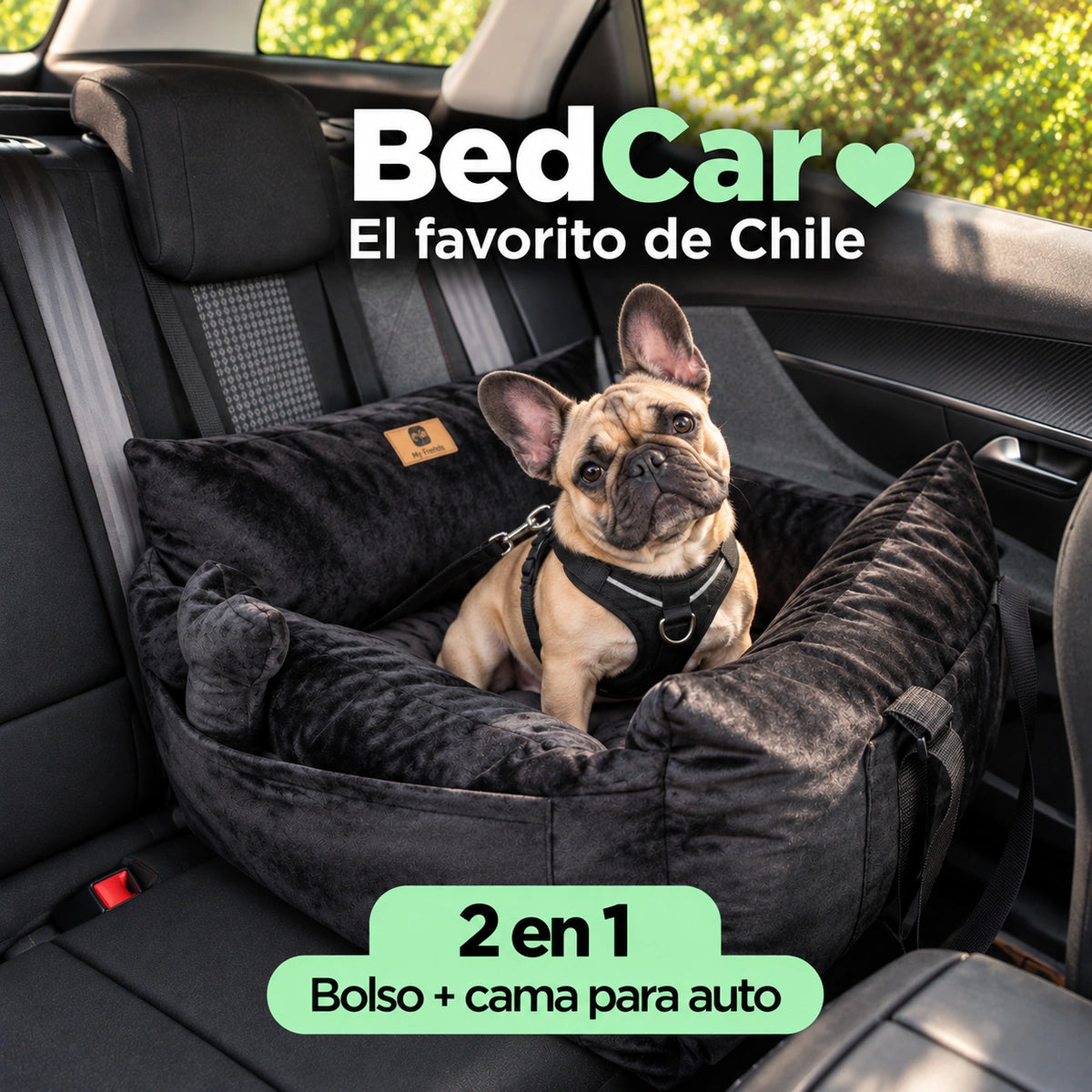 Bolso Transportador 2 en 1 para mascotas Modelo Black