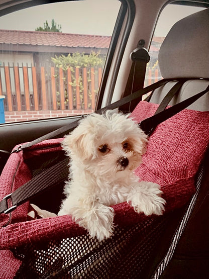 Transportador de mascota modelo burdeo