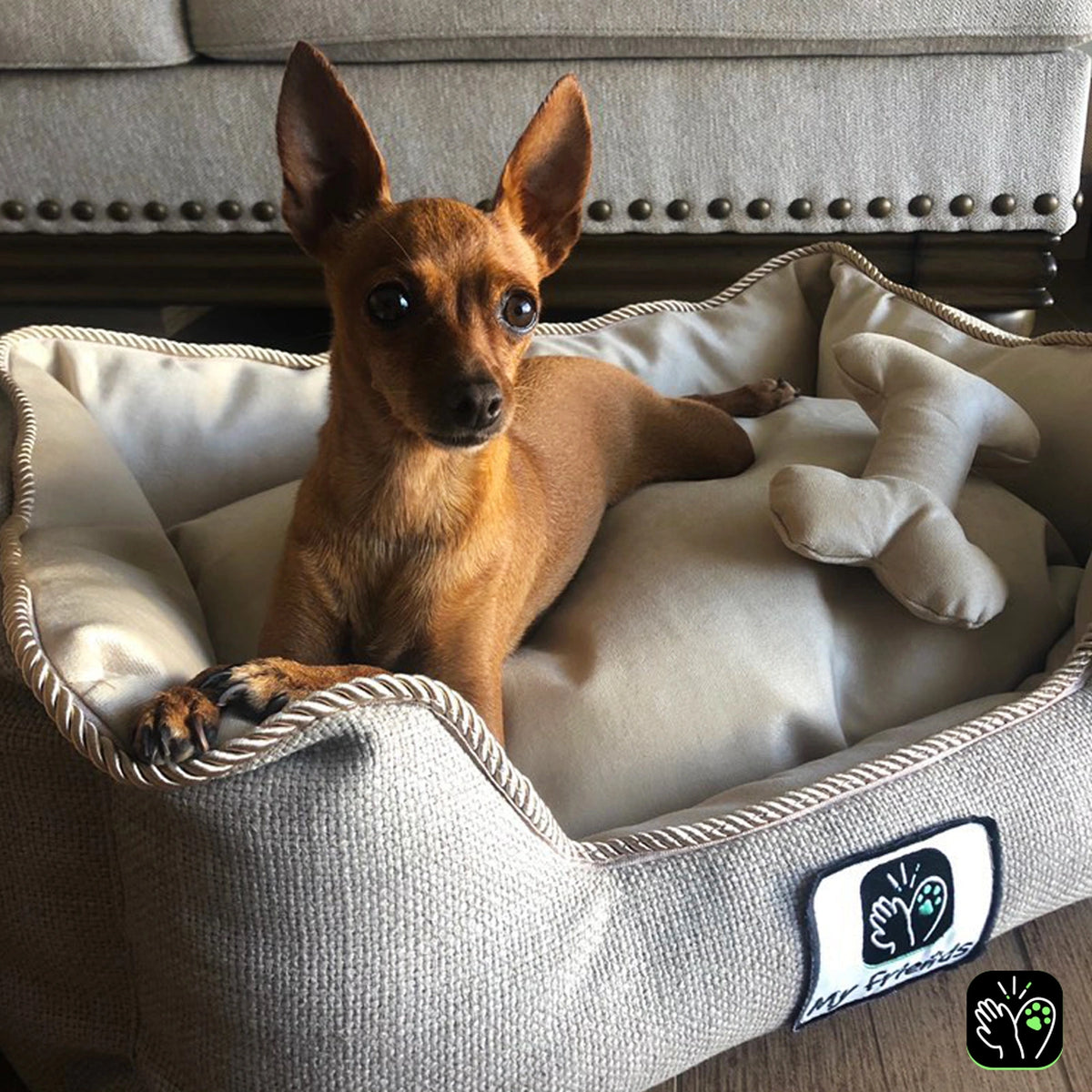 Cama de mascota diseño "Beige completa"