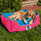Cama de mascota diseño "Fucsia/calipso"