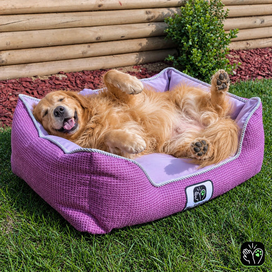 Cama de mascota diseño "Pink"