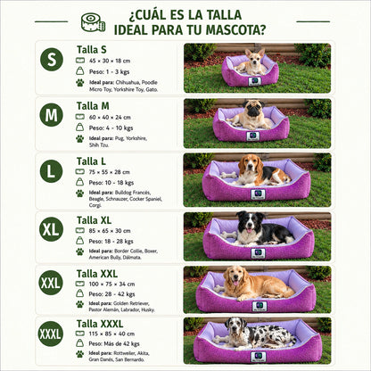 Cama de mascota diseño "Pink"