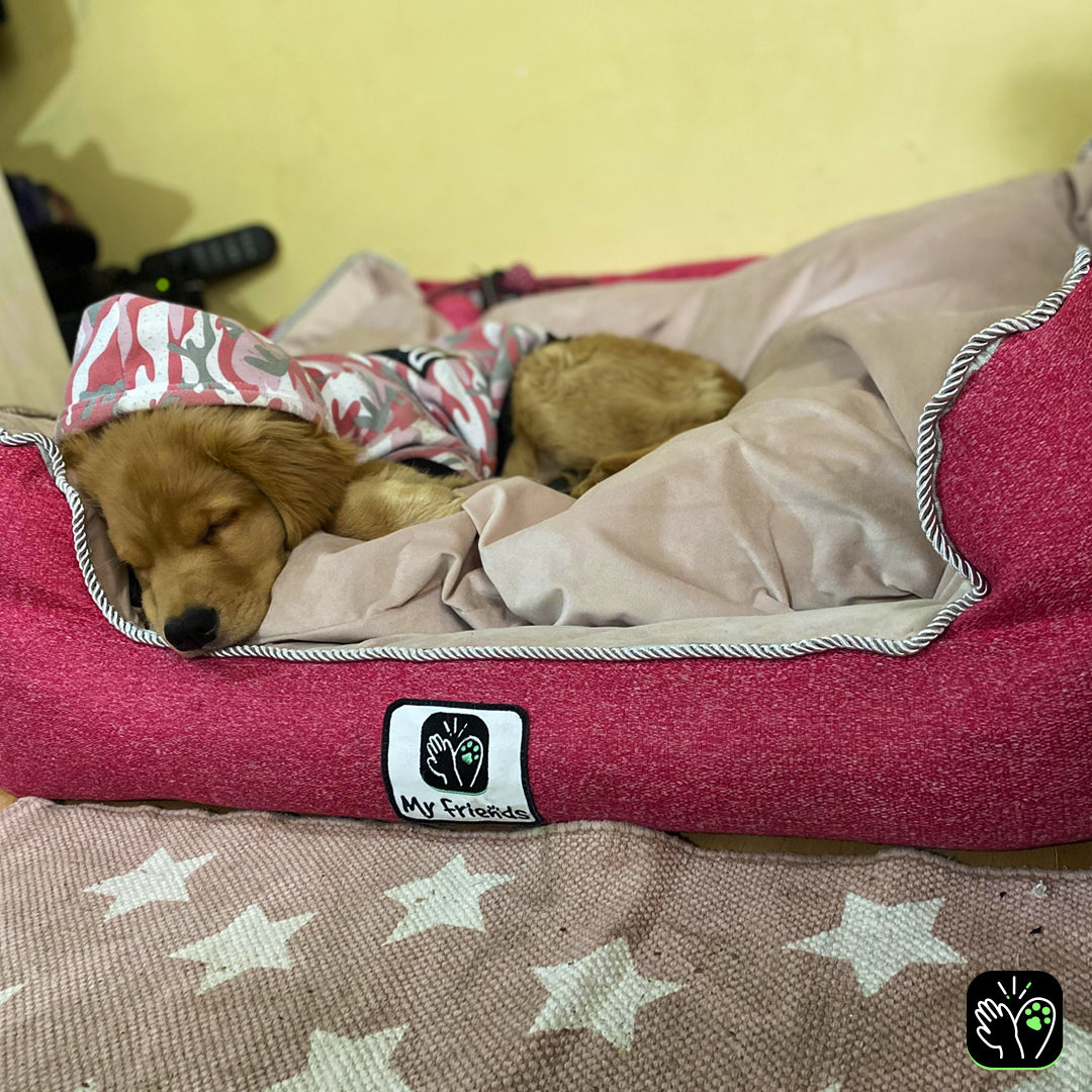 Cama de mascota diseño "Fucsia/rosada"