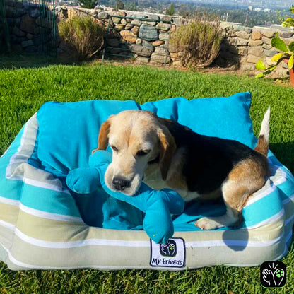 Cama de mascota diseño "Turquesa rayas/calipso"