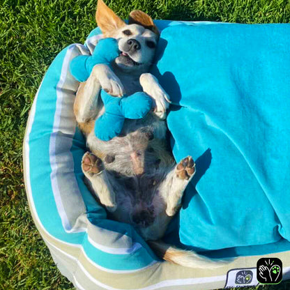 Cama de mascota diseño "Turquesa rayas/calipso"